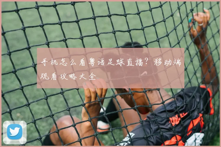 手机怎么看粤语足球直播？移动端观看攻略大全