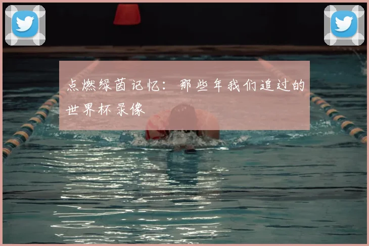 点燃绿茵记忆：那些年我们追过的世界杯录像