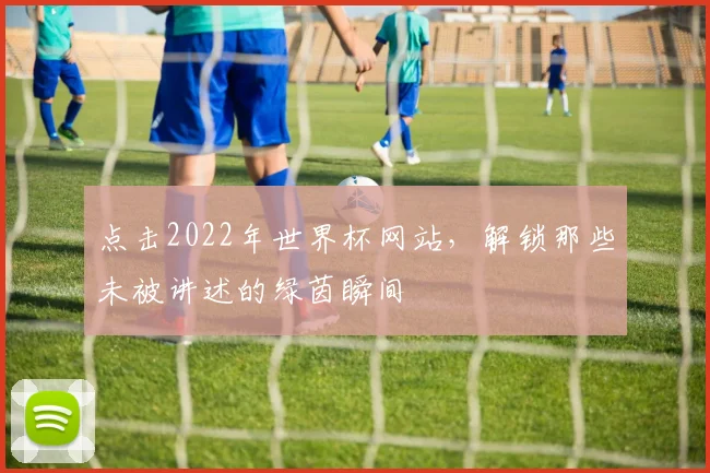 点击2022年世界杯网站，解锁那些未被讲述的绿茵瞬间
