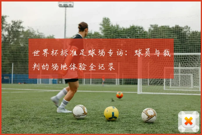 世界杯标准足球场专访：球员与裁判的场地体验全记录