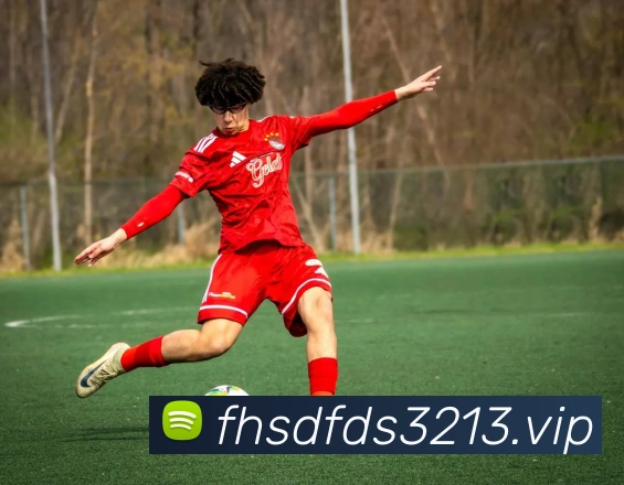 米兰官方网站入口发展历程